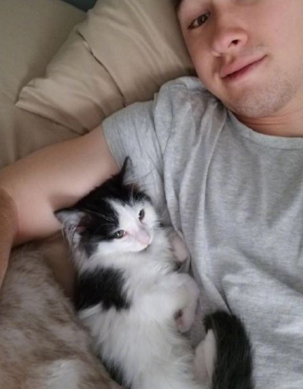 养猫的人有多痛苦?看到第三张图窒息了-微信头条网 养猫的人有多痛苦?看到第三张图窒息了