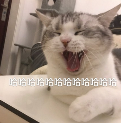 原来,猫咪也是有蜜桃臀的...-微信头条网 原来,猫咪也是有蜜桃臀的...