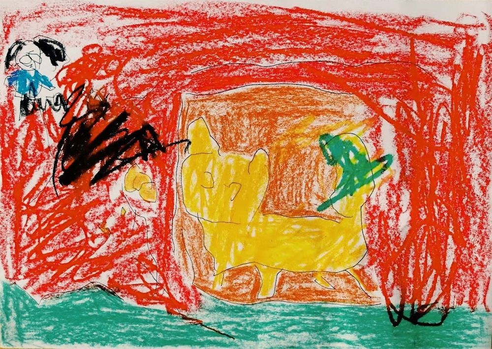 一張四歲孩子畫的流浪貓簡筆畫，引出了這個冬天最溫暖的故事 萌寵 第3張