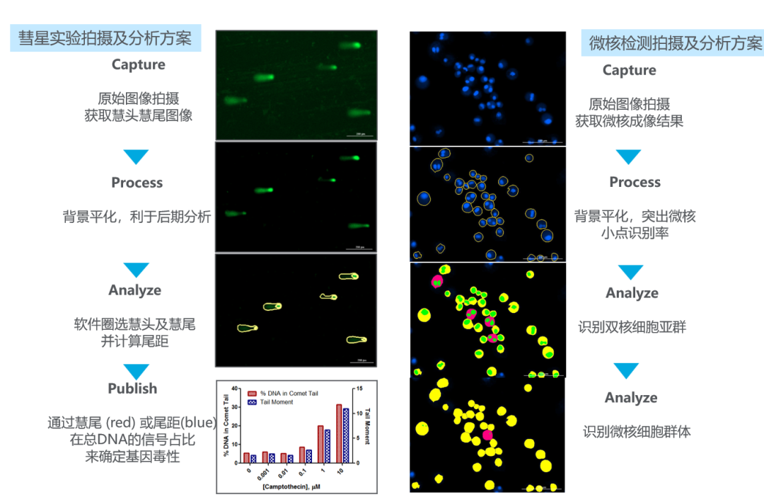 探索醫(yī)療器械生物相容性測試的新策略