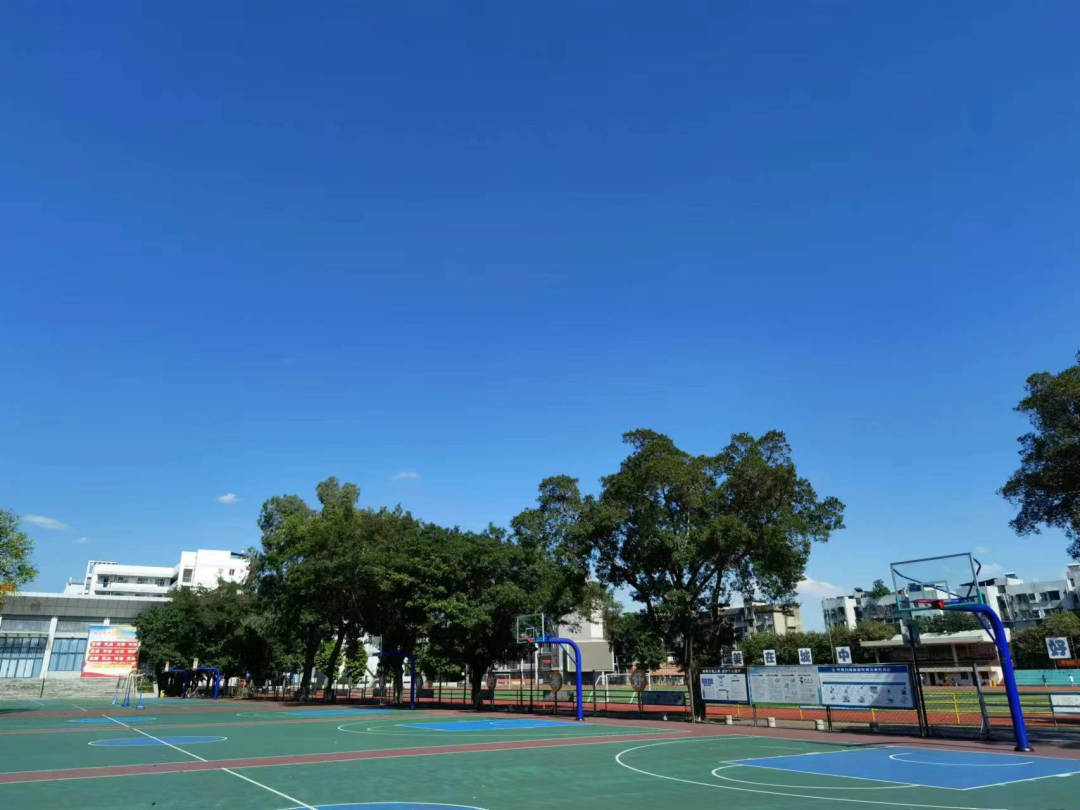 柳州市第三中学2022年招聘教师公告-职场新人-今日招聘