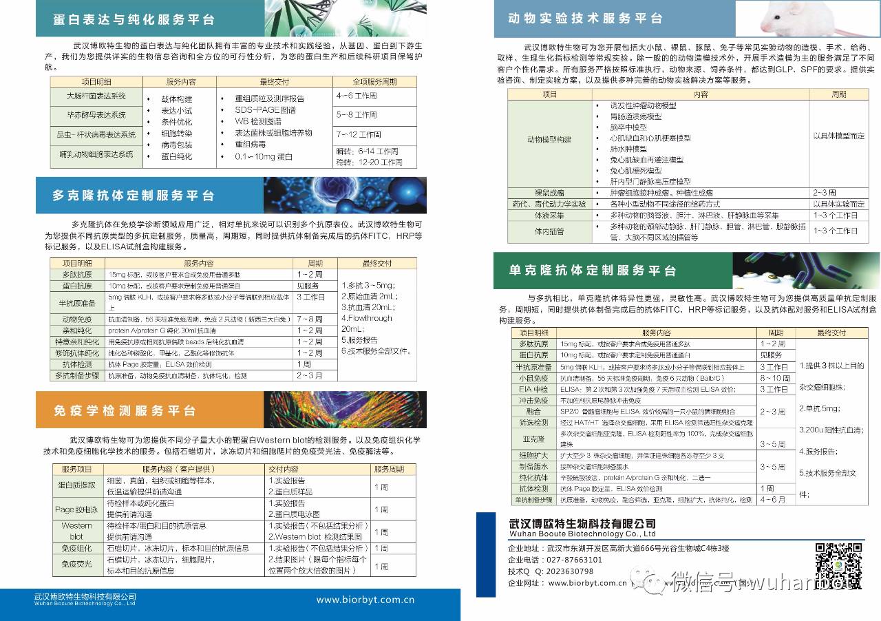 福利！送抗体试剂试用装啦！