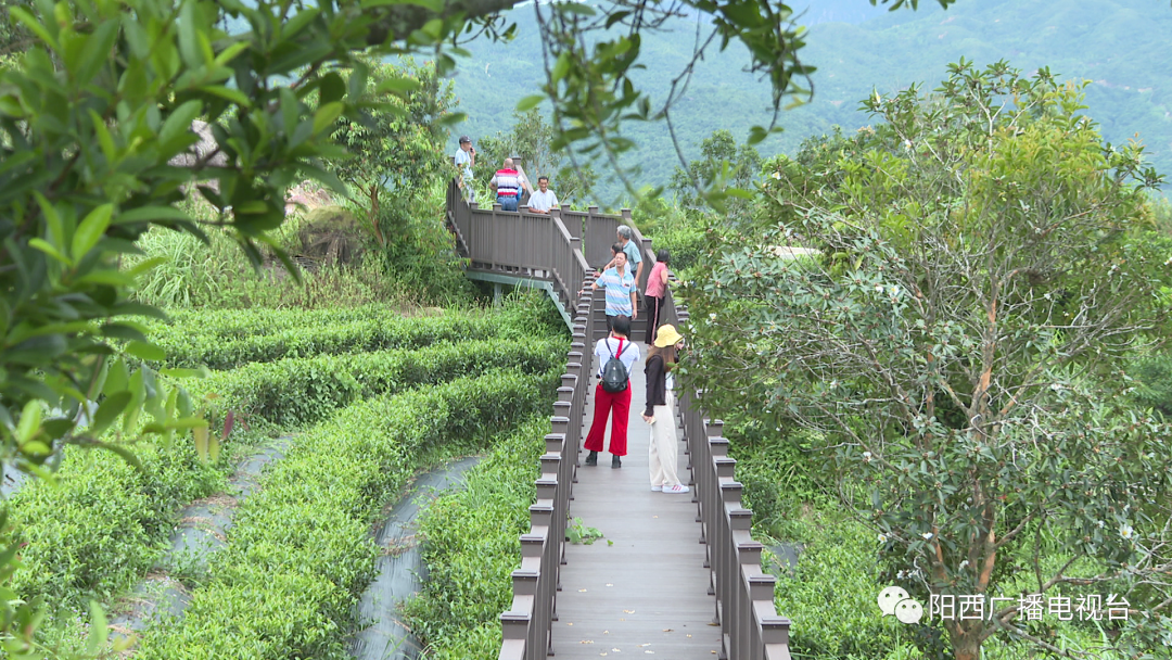 大美阳西东水山森林公园栈道