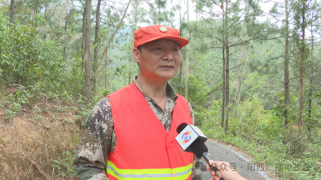 绿美阳西阳西护林员守护绿水青山助力绿美生态建设
