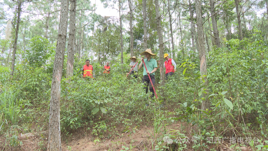 绿美阳西阳西护林员守护绿水青山助力绿美生态建设