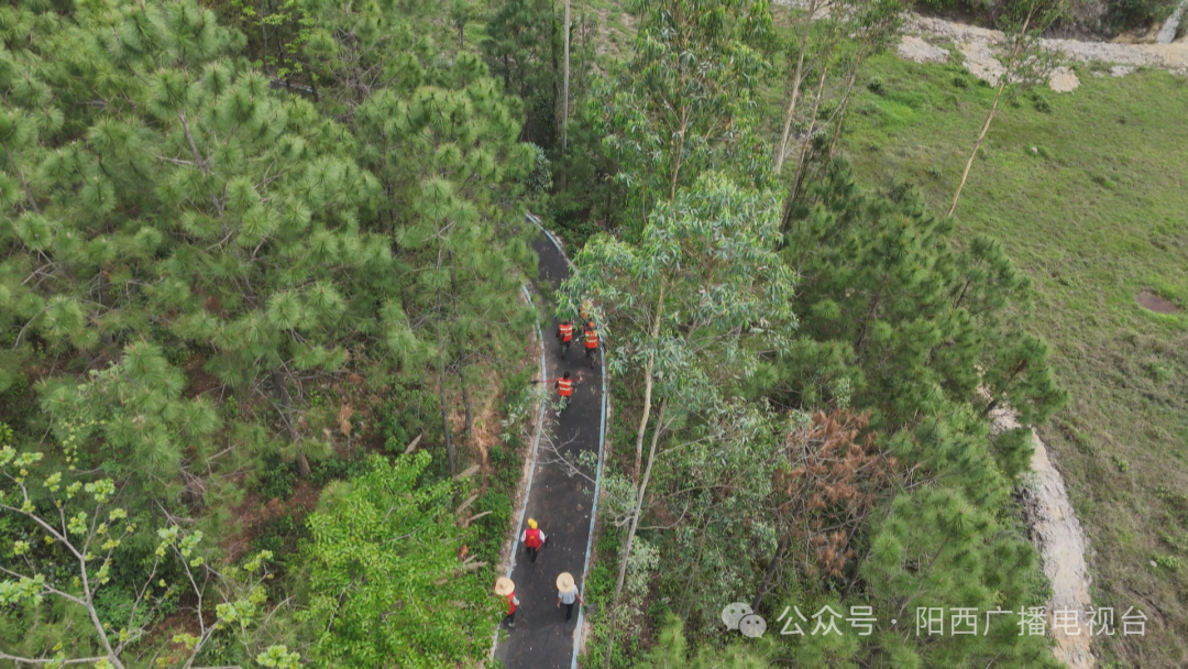 【绿美阳西】阳西护林员:守护绿水青山 助力绿美生态建设 -阳西县人民