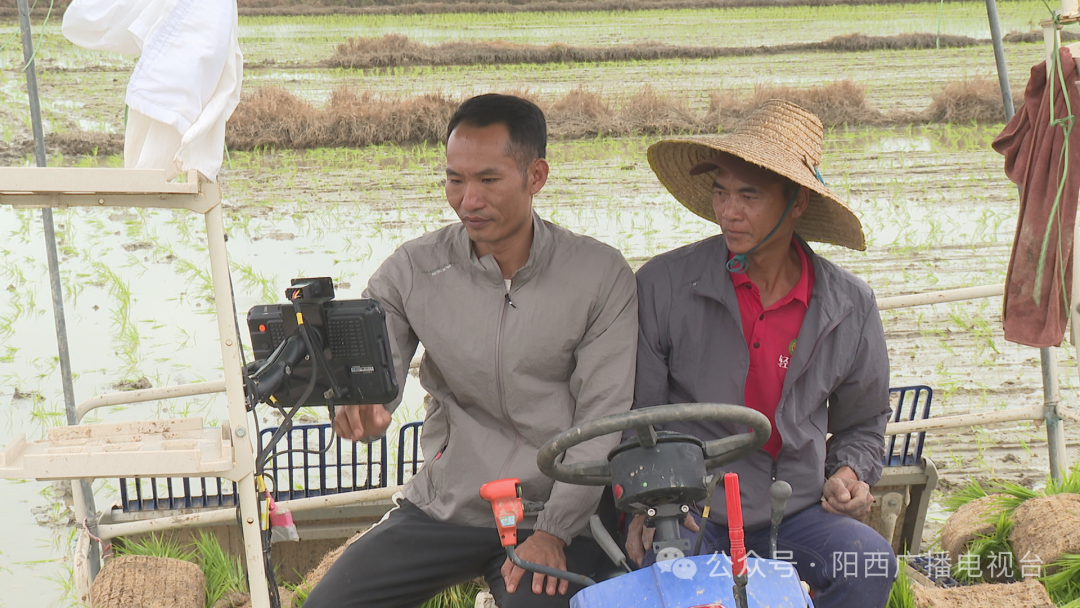 【百千万工程】阳西:春耕好时节 早稻插秧忙 -阳西县