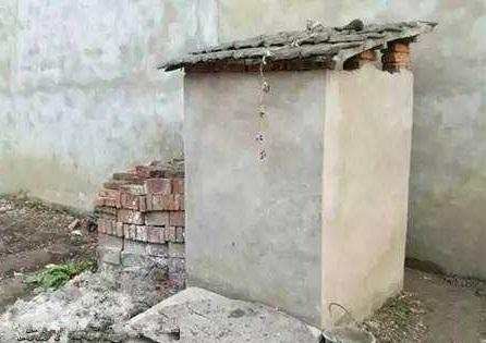 2019年农村新奇特创业项目 2019农村创业新项目，瞄准“厕所”是个大生意