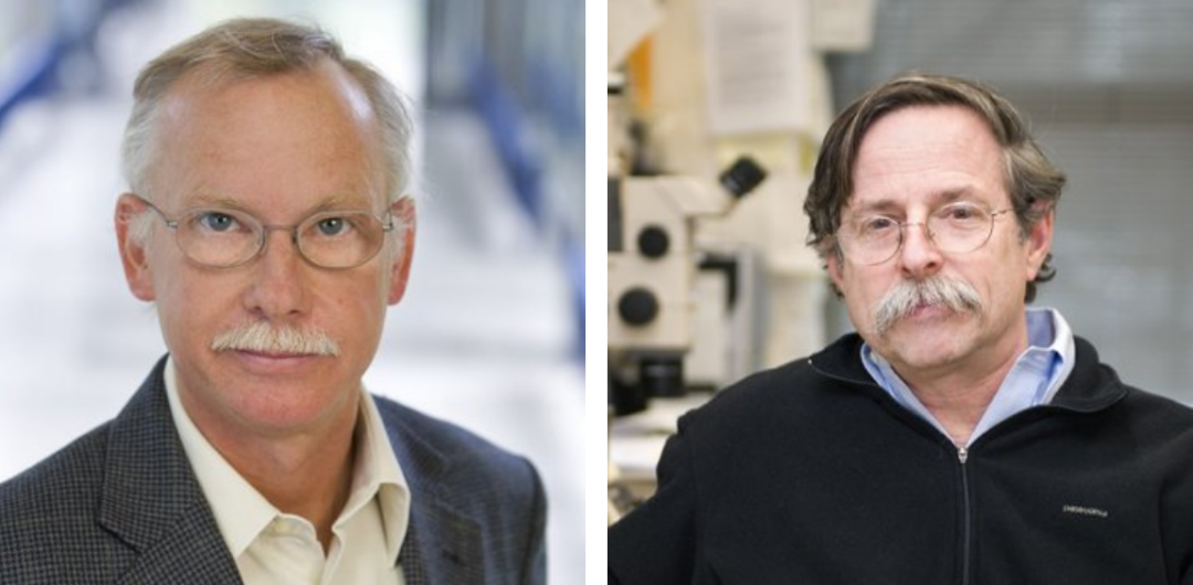 诺奖预测！8组候选人，谁将斩获医学奖与化学奖桂冠？ 第8张