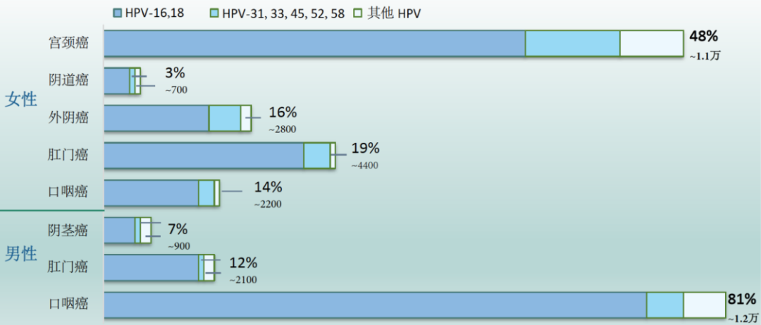刮匙怎么使用HPV疫苗打完就安全了吗？男生要打吗？几岁打最有用？一文讲清_https://www.jmylbn.com_新闻资讯_第6张
