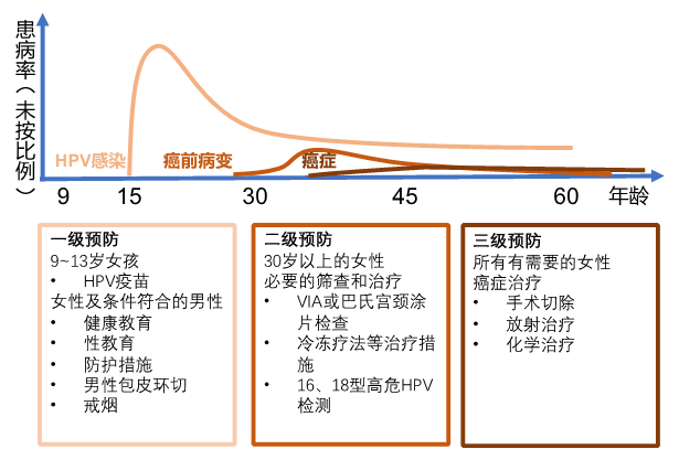 刮匙怎么使用HPV疫苗打完就安全了吗？男生要打吗？几岁打最有用？一文讲清_https://www.jmylbn.com_新闻资讯_第9张
