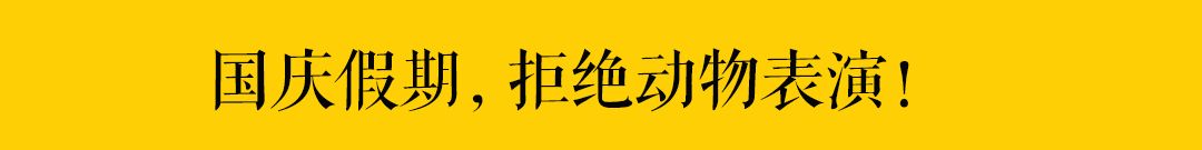 「應該批評喂流浪貓廉價糧的人嗎？」 萌寵 第26張