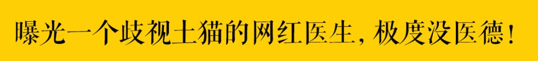 「應該批評喂流浪貓廉價糧的人嗎？」 萌寵 第28張