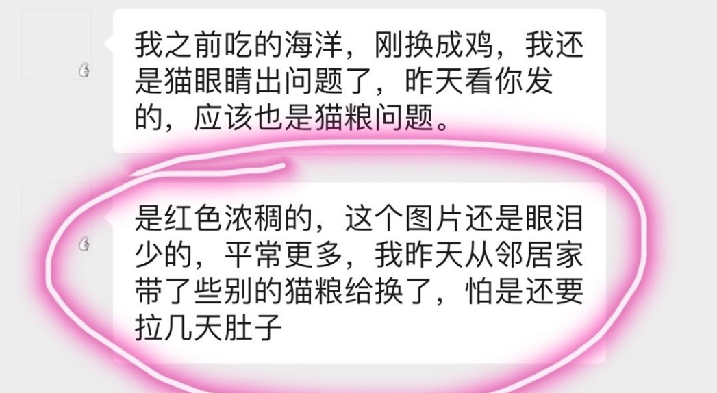 愛肯拿吃死貓實錘！貓主人還曬出檢測報告，卻被網暴罵心理有問題！ 寵物 第35張