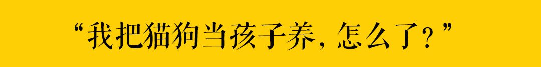 我在網上發現一種超沙雕的貓糧，竟用神獸「鯤魚」做原料～ 萌寵 第18張