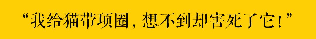 「素貓糧，最罪惡的貓糧！」 萌寵 第13張