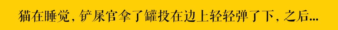 我在網上發現一種超沙雕的貓糧，竟用神獸「鯤魚」做原料～ 萌寵 第19張