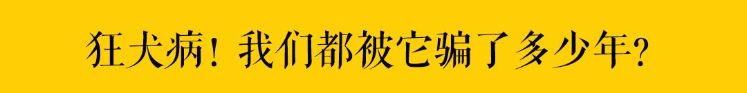 為什麼說要以「大橘為重」？因為... 萌寵 第29張