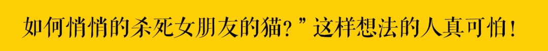 「我恐怕養的是一只假貓！」 萌寵 第42張