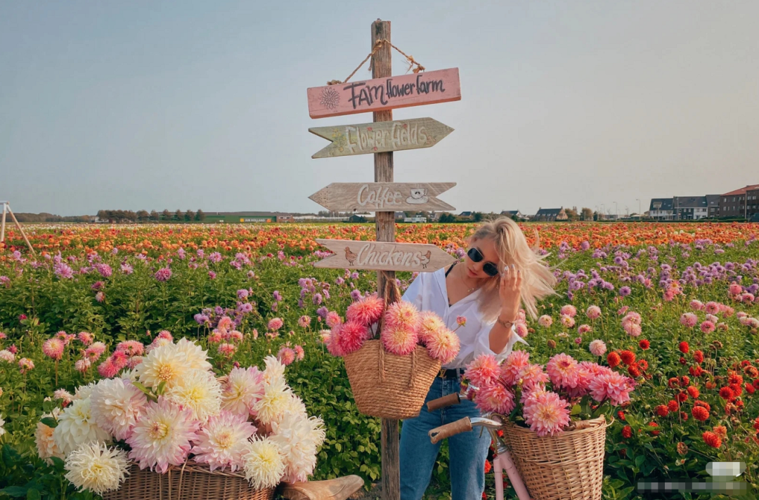 昆明滇池国家旅游度假区管理委员会(微信)