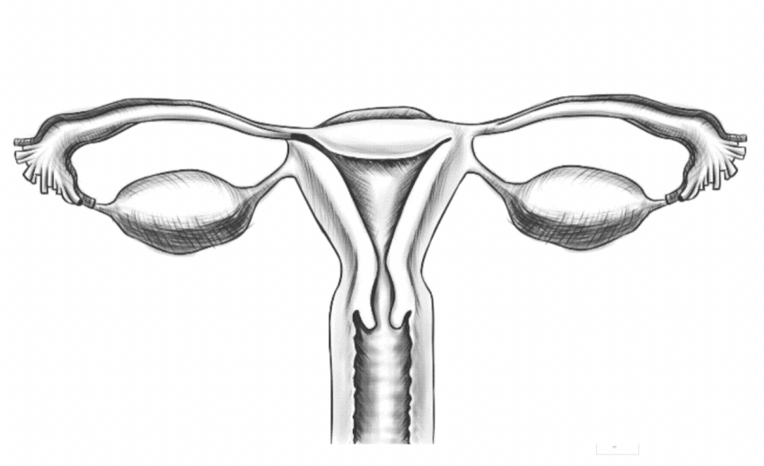 微乔线是什么从妇产科四类常见手术，一窥倒刺线的“神奇”助力_https://www.jmylbn.com_新闻资讯_第4张