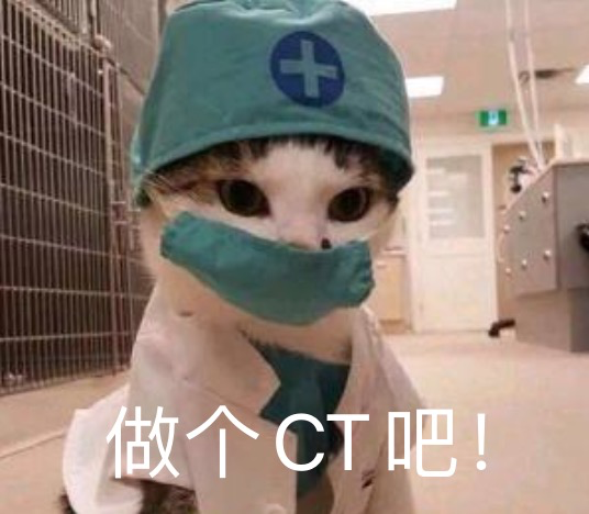 动物拍片腹部怎么摆给小动物做CT是种什么体验？狮子：我被看光了！_https://www.jmylbn.com_新闻资讯_第4张