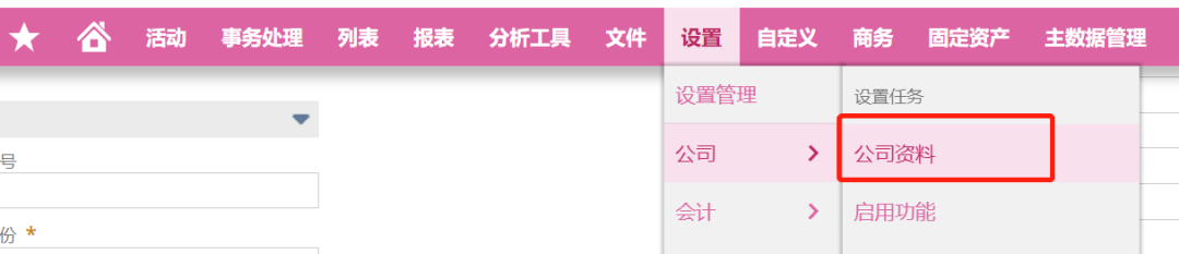 Net Suite JDBC 连接 Netsuite 数据库 - 封面图