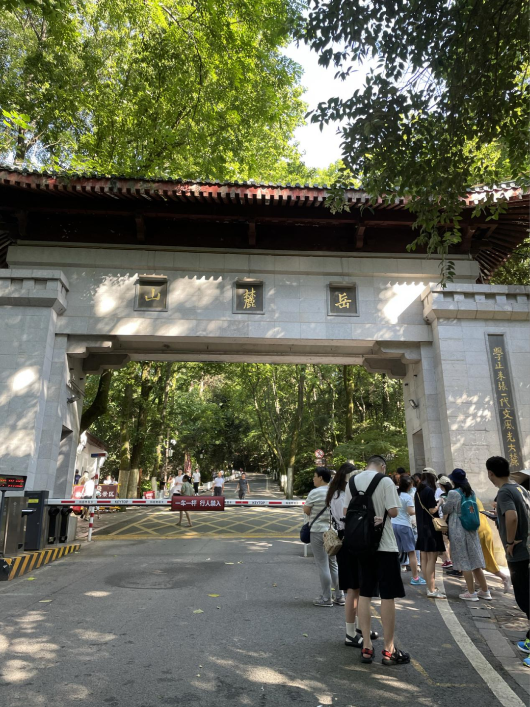 总要去趟岳麓山吧 - 封面图
