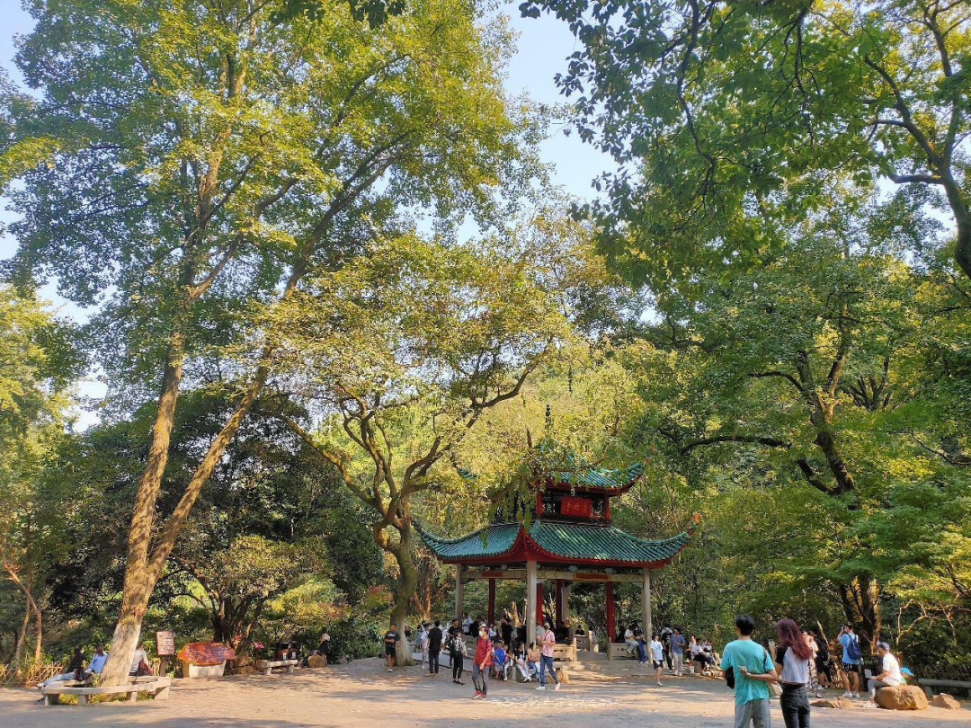 总要去趟岳麓山吧 - 封面图