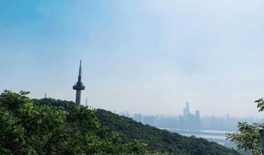 总要去趟岳麓山吧 - 封面图