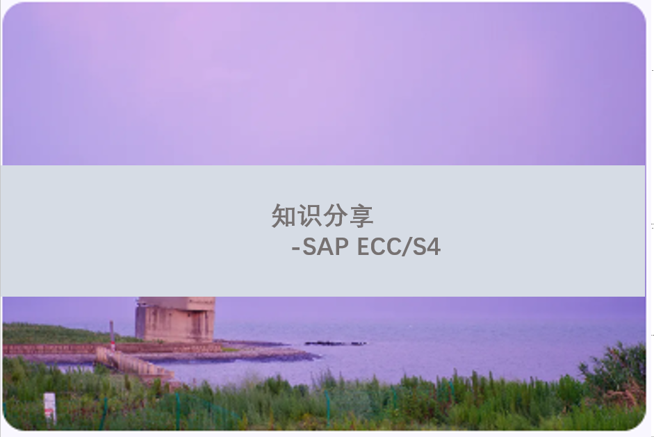 梳理信用管理在 ECC 和 S4中的变换 - 封面图