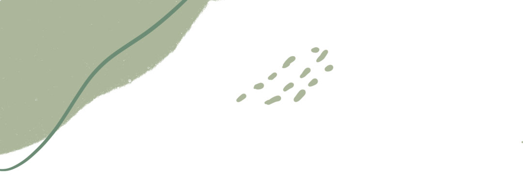 洛阳游记 - 封面图
