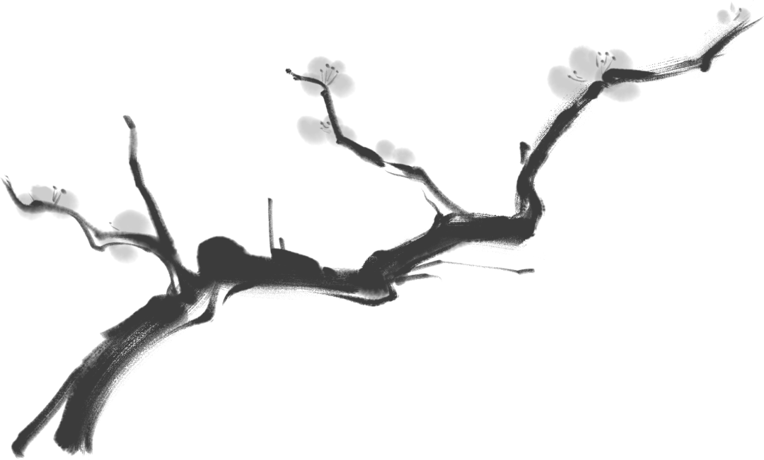 我的飞行模式 - 封面图