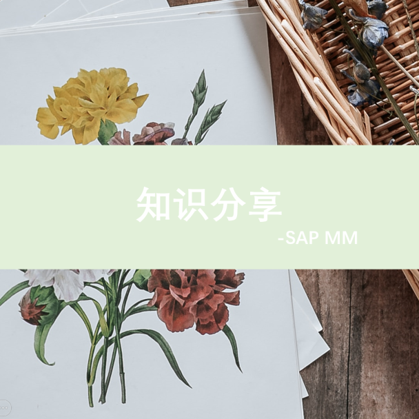 Intrastat 报表 - 封面图