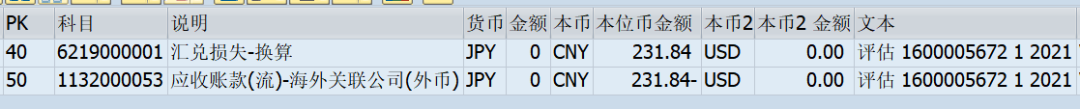 关于 SAP 外币评估功能在财务核算中的应用 - 封面图