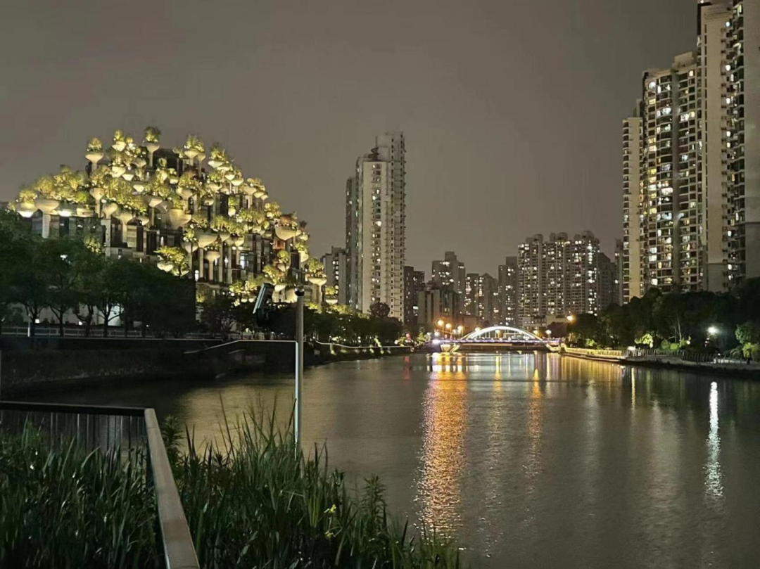 上海解封前后的心理活动 - 封面图