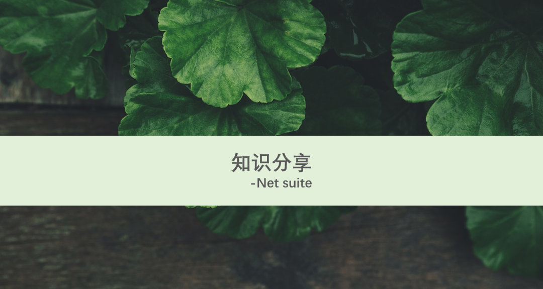 Net Suite 多账簿功能介绍 - 封面图