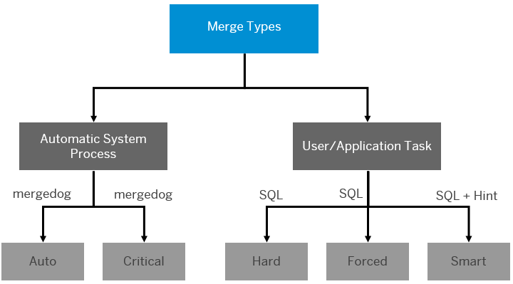 SAPHANADelta Merge 技术简介 - 封面图