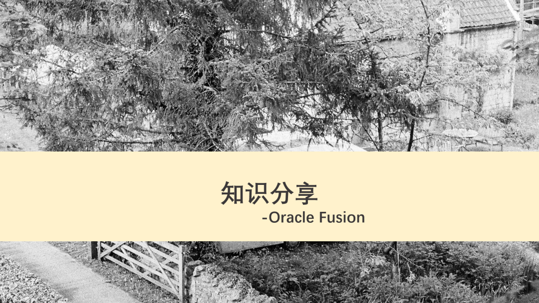Item Rule - 封面图