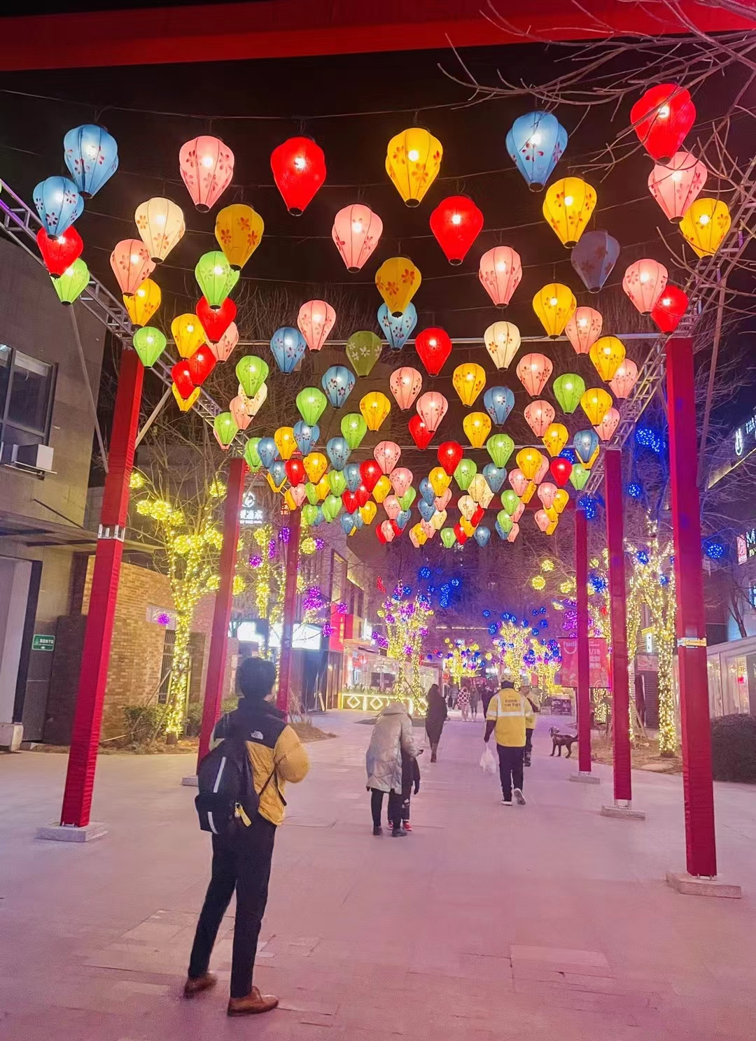 莫使金樽空对月举杯幸会有缘人 - 封面图