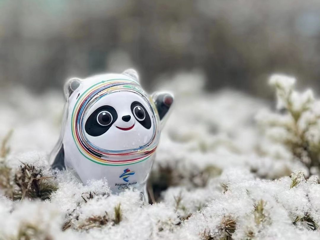 莫使金樽空对月举杯幸会有缘人 - 封面图