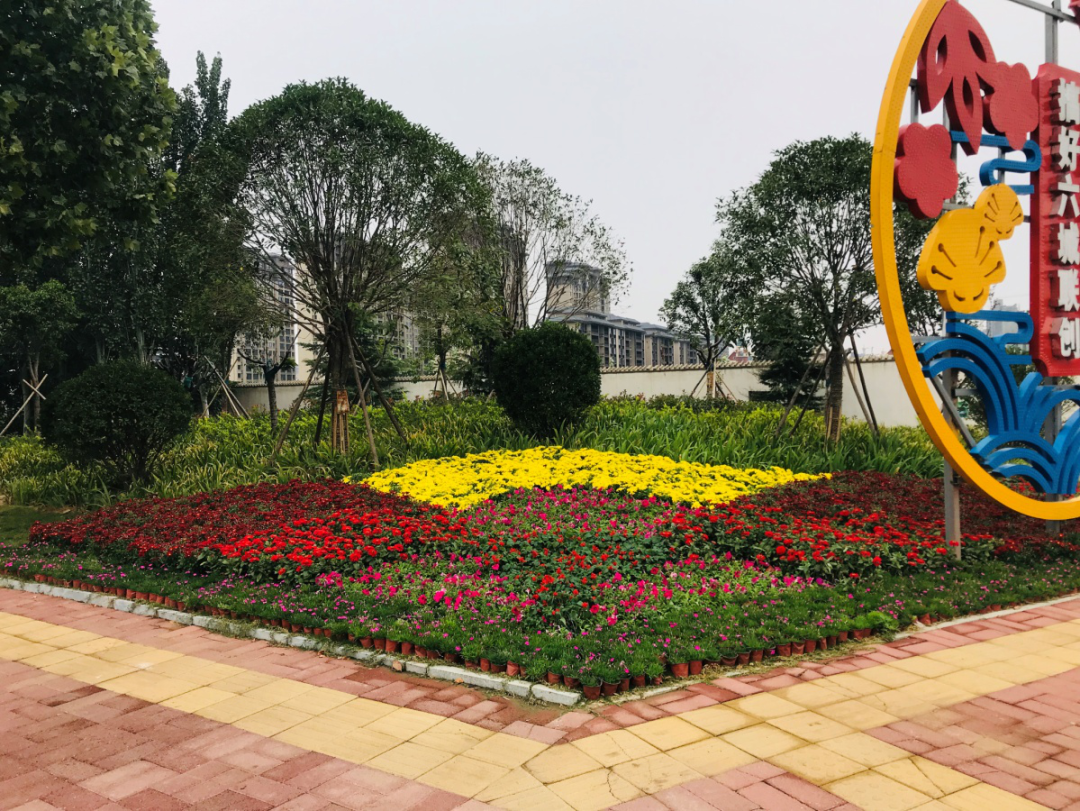 不同草花颜色的合理搭配及图案的变化,层次分明,以形成良好的景观效果