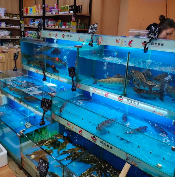 鲜生友请“求包养”