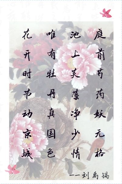 医药同源清热凉血牡丹皮，活血化瘀效堪灵