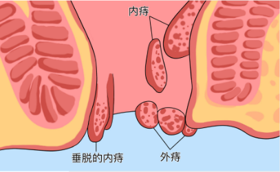 ���ͺ��ض���س�ҽԺ�������ű����Ż������ۣ���ֻ���ϻ�