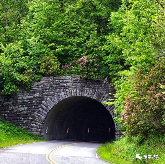世界十大最美公路榜单出炉，澳洲这条路“照片最多”荣登榜首（组图） - 8