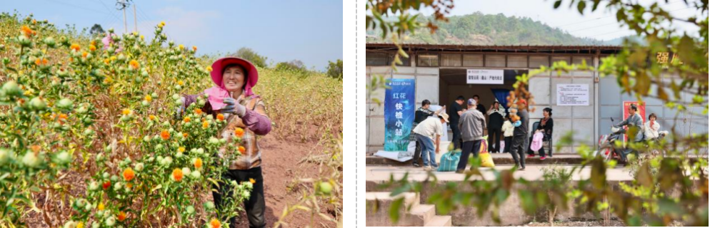 �������ǲ���(�й���)�ٷ���վ