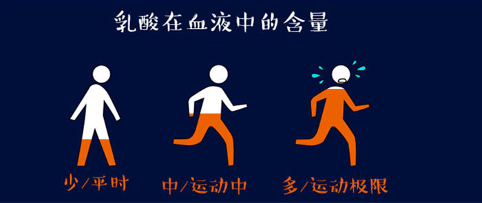 马拉松越野体能补给？肌鲣强可能是你最科学的选择！