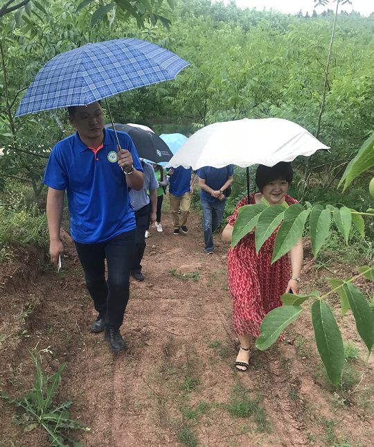 创业养殖项目_土鸡养殖创业项目计划书_土鸡养殖视频 土鸡养殖技术