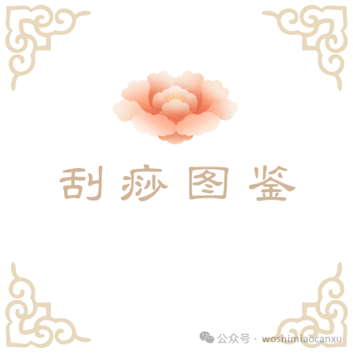肢端动脉痉挛症